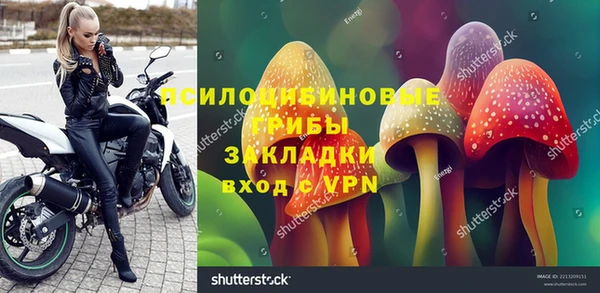 мескалин Алексин