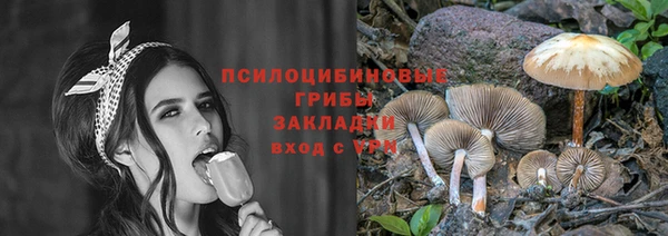 мескалин Алексин