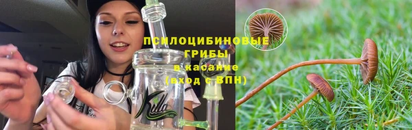 мескалин Алексин