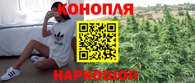 дживик Кунгур
