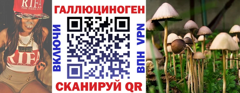 цены наркотик  Жуковский  Псилоцибиновые грибы MAGIC MUSHROOMS 