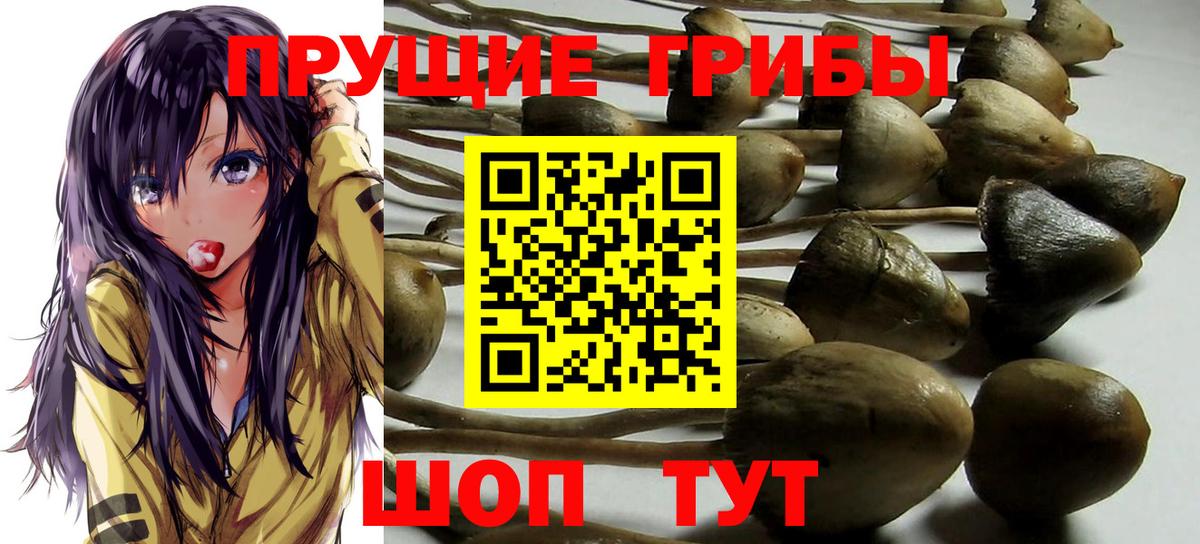 Галлюциногенные грибы Psilocybe  Псилоцибиновые грибы Magic Shrooms  наркота  Вход с VPN  Жуковский 